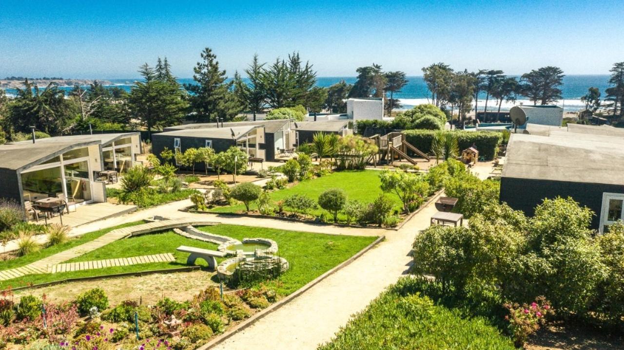Curi Lodge Pichilemu Eksteriør billede