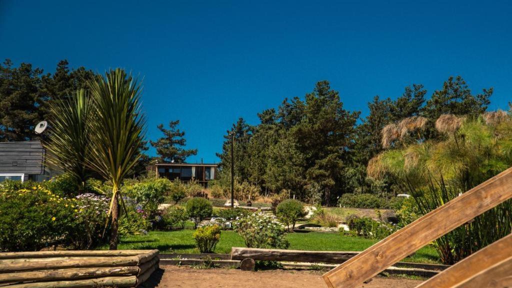 Curi Lodge Pichilemu Eksteriør billede